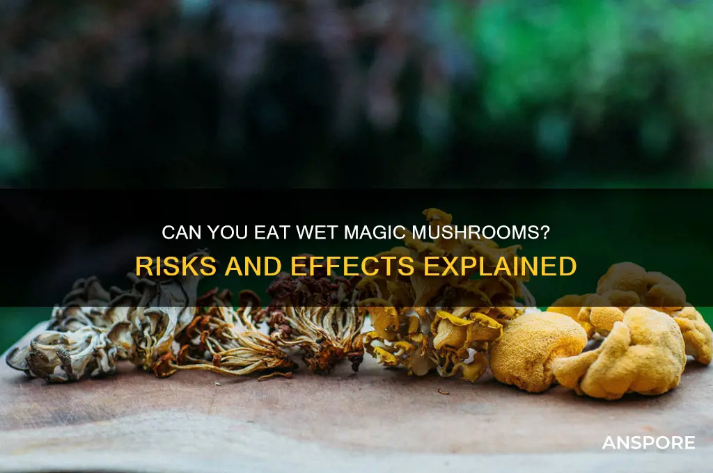 can you eat wet magic mushrooms