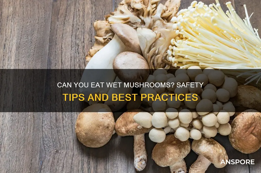 can you eat wet mushrooms