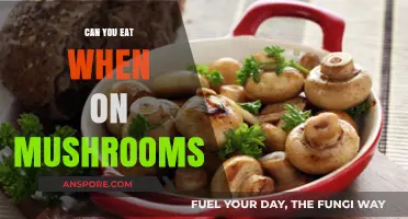 Eating on Mushrooms: Safe Food Choices and Trip Tips