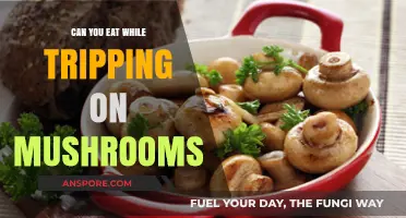 Eating on a Mushroom Trip: Safe, Smart, or Skip?