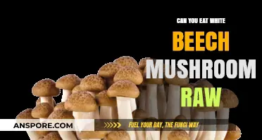 Can You Eat White Beech Mushrooms Raw? A Safety Guide