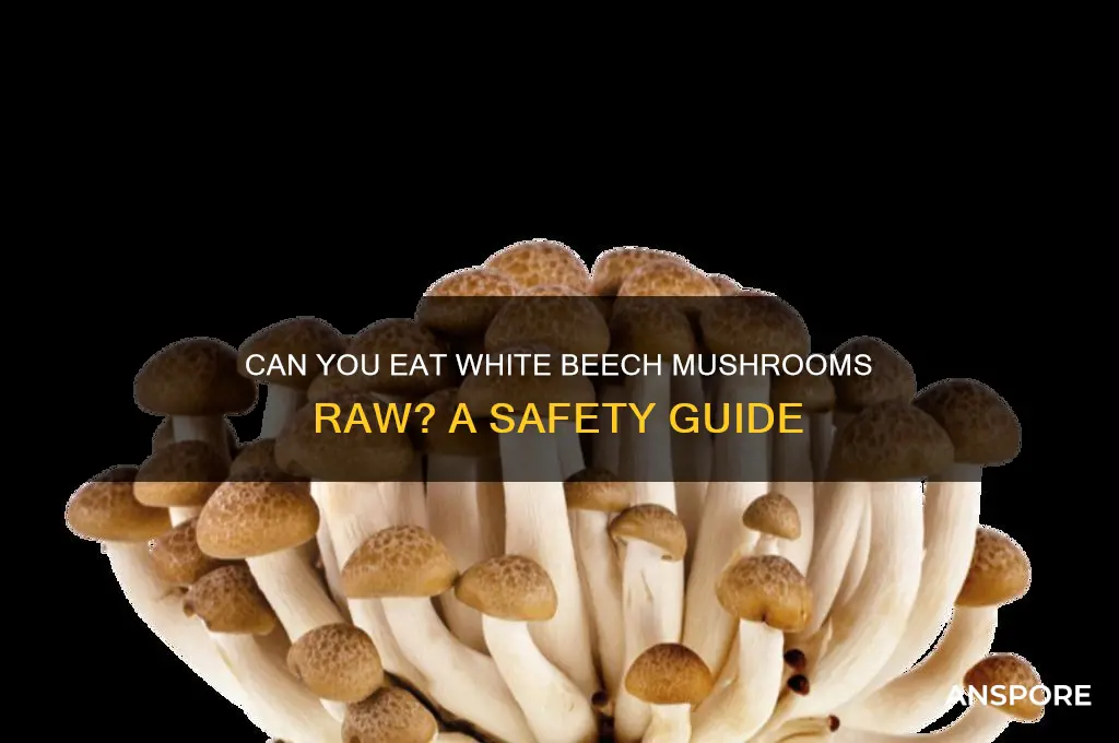 can you eat white beech mushrooms raw