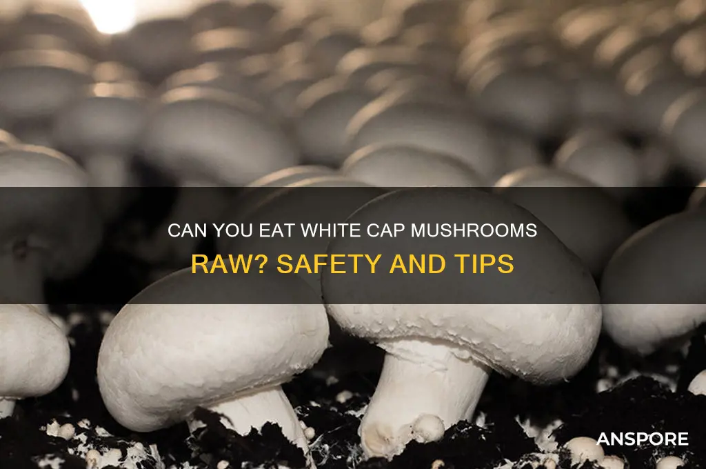 can you eat white cap mushrooms raw