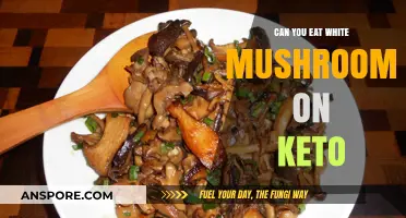 Are White Mushrooms Keto-Friendly? A Low-Carb Diet Guide