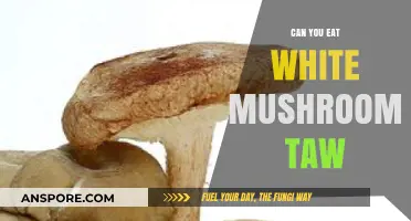 Can You Eat White Mushrooms Raw? Safety and Benefits Explained