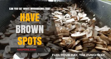 Are Brown-Spotted White Mushrooms Safe to Eat? Find Out Here