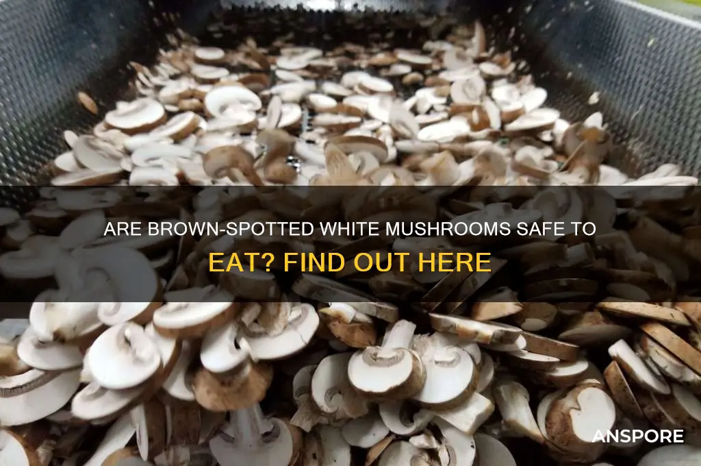 can you eat white mushrooms that have brown spots