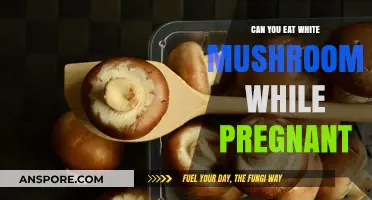Pregnancy and White Mushrooms: Safe to Eat or Not?
