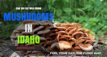 Exploring Idaho's Wild Brain Mushrooms: Safe to Eat or Toxic?