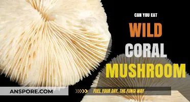 Are Wild Coral Mushrooms Edible? A Forager's Guide to Safety