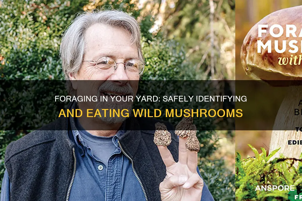 can you eat wild mushrooms grow your yard
