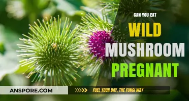 Pregnancy and Wild Mushrooms: Safe or Risky to Eat?