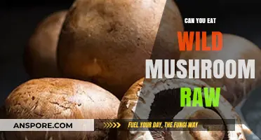 Can You Eat Wild Mushrooms Raw? Risks and Safety Tips
