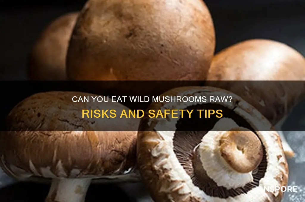 can you eat wild mushrooms raw