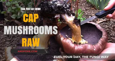 Can You Eat Wine Cap Mushrooms Raw? Safety Tips Revealed