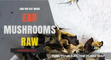 Can You Eat Wood Ear Mushrooms Raw? Safety and Tips