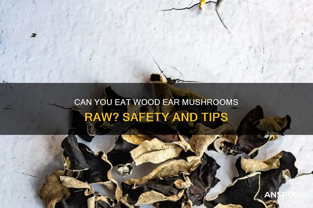 can you eat wood ear mushrooms raw