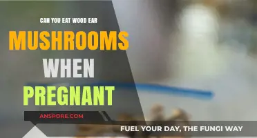 Wood Ear Mushrooms During Pregnancy: Safe or Risky Choice?