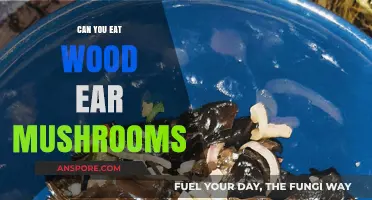 Can You Eat Wood Ear Mushrooms? A Tasty Fungus Guide
