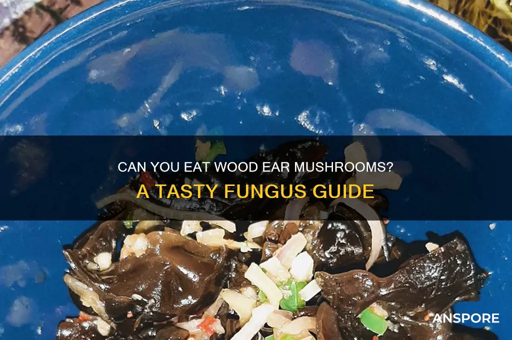can you eat wood ear mushrooms