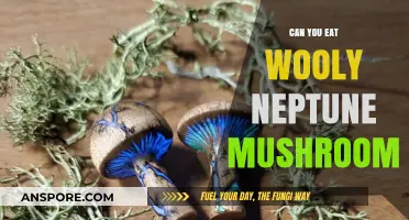 Can You Eat Wooly Neptune Mushrooms? Safety and Facts Revealed