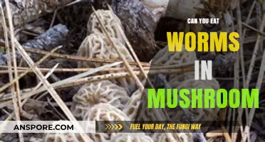 Worms in Mushrooms: Are They Safe to Eat?