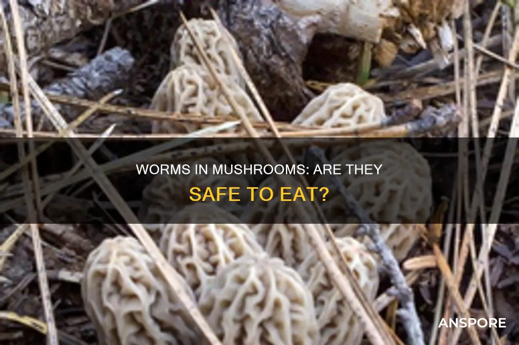 can you eat worms in mushrooms