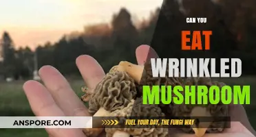 Are Wrinkled Mushrooms Safe to Eat? A Quick Guide