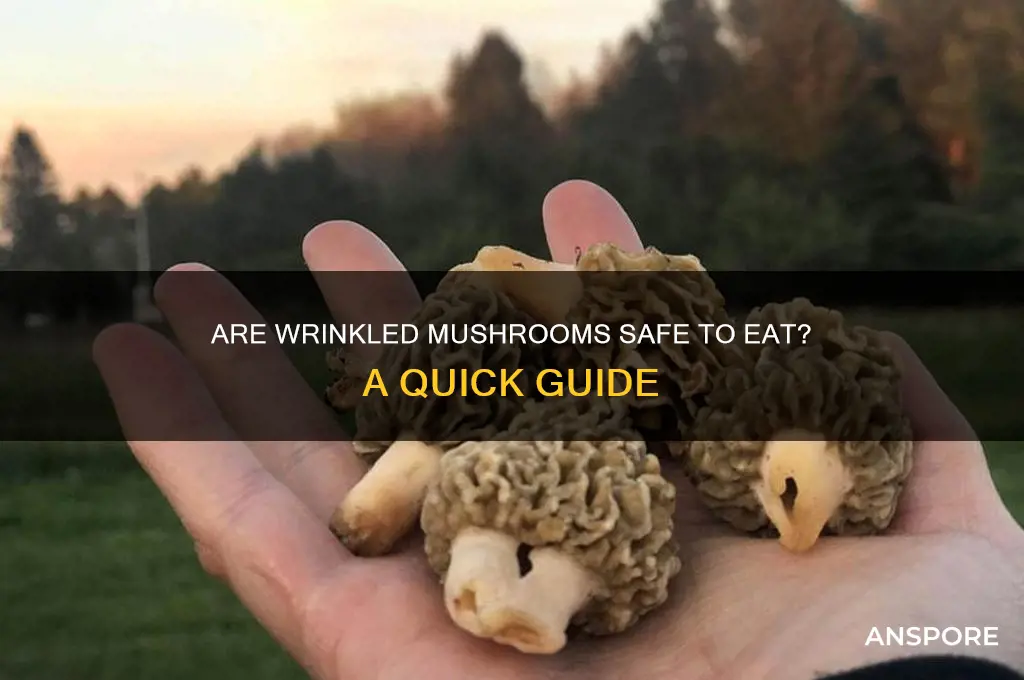 can you eat wrinkled mushrooms