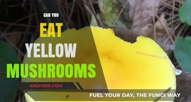 Can You Eat Yellow Mushrooms? A Guide to Safe Foraging