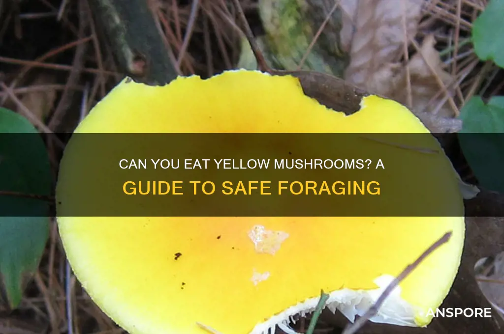 can you eat yellow mushrooms