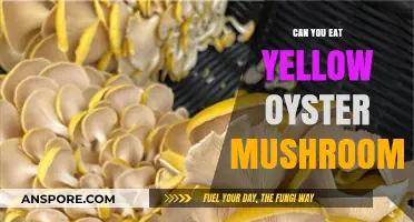 Can You Eat Yellow Oyster Mushrooms? A Tasty Guide