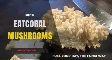 Can You Eat Coral Mushrooms? A Safe Foraging Guide