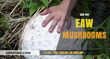 Exploring Edible Mushrooms: Can You Safely Eat Wild Varieties?