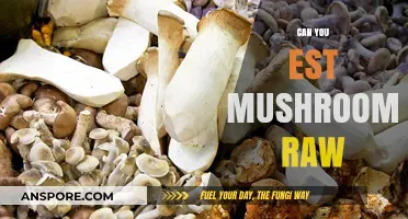 Can You Eat Mushrooms Raw? Benefits, Risks, and Best Practices
