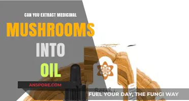 Extracting Medicinal Mushrooms into Oil: Benefits, Methods, and Uses