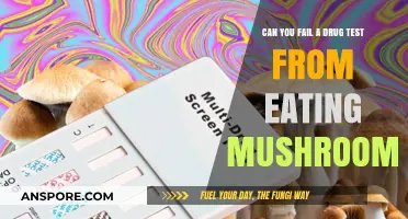 Can Eating Mushrooms Cause a Failed Drug Test? Facts Revealed