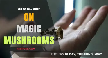 Exploring Sleep and Magic Mushrooms: Can Psilocybin Induce Rest?