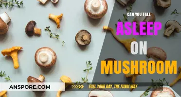 Exploring the Effects: Can Mushrooms Induce Sleep or Disrupt Rest?