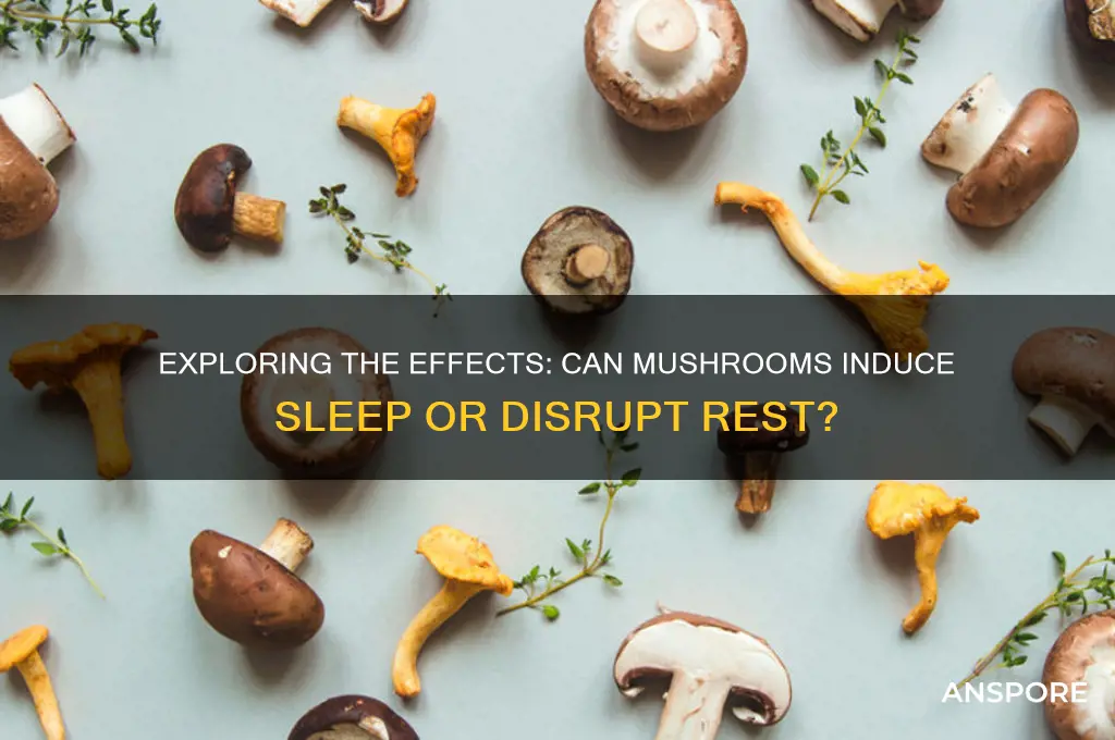 can you fall asleep on mushrooms