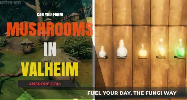 Valheim Mushroom Farming: Tips for Growing Fungi in the Game