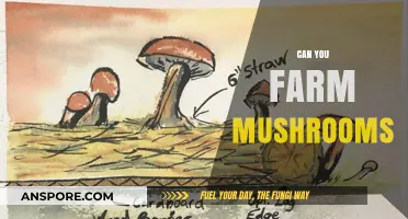 Exploring Mushroom Farming: A Beginner's Guide to Growing Your Own Fungi