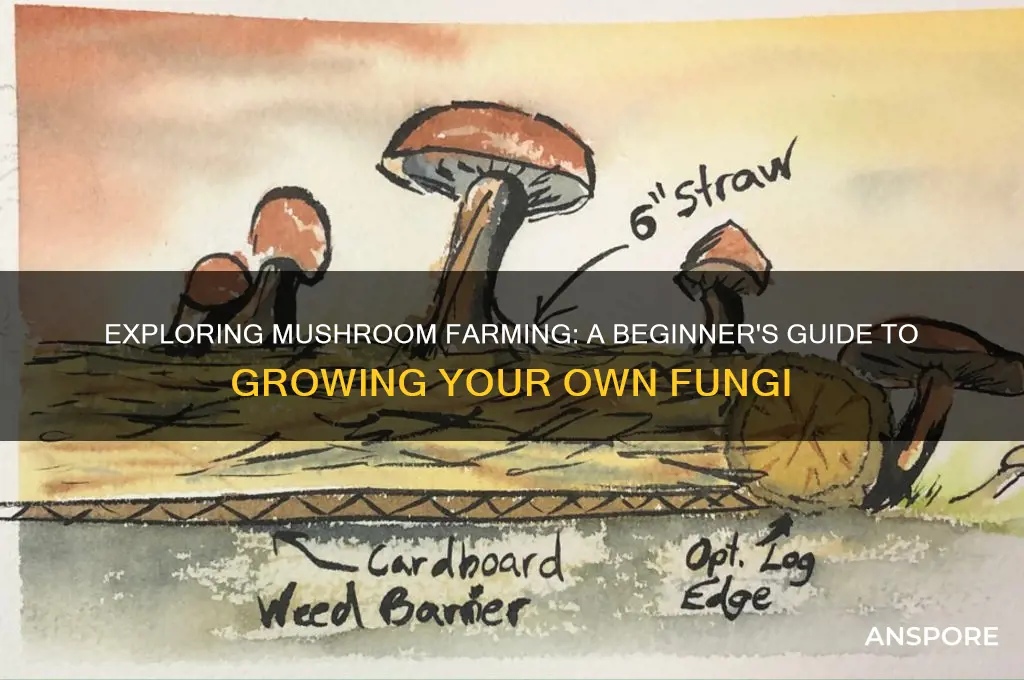 can you farm mushrooms