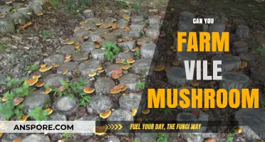 Farming Vile Mushrooms: Tips, Challenges, and Best Practices for Success