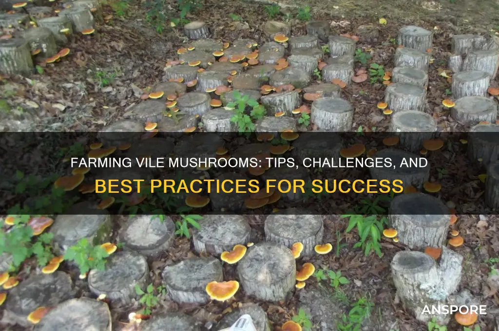 can you farm vile mushrooms