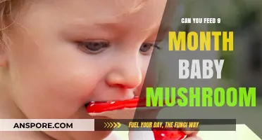 Feeding Mushrooms to Your 9-Month-Old Baby: Safe or Risky?