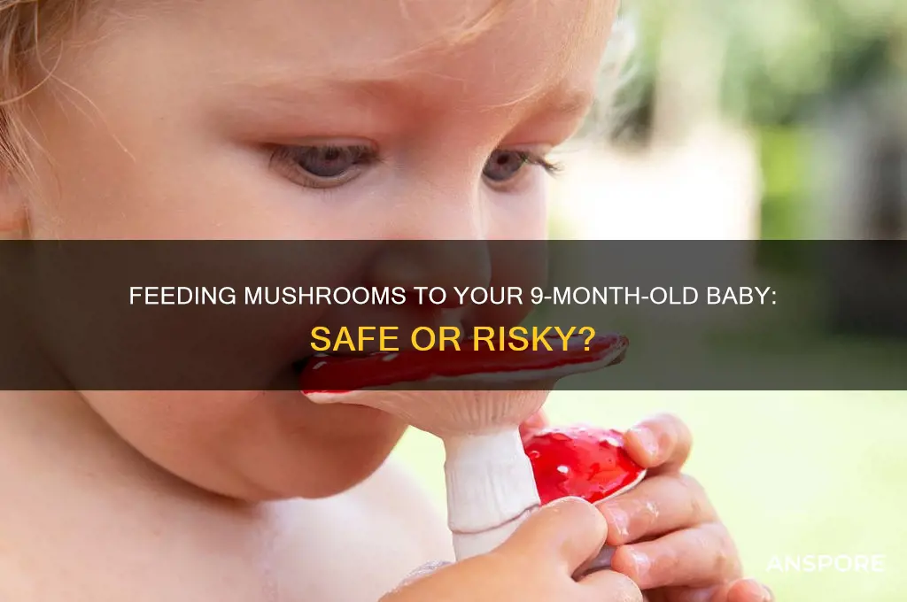can you feed 9 month baby mushrooms