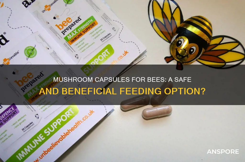 can you feed bees mushroom capsules