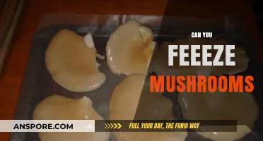 Can You Freeze Mushrooms? A Complete Guide to Preserving Freshness