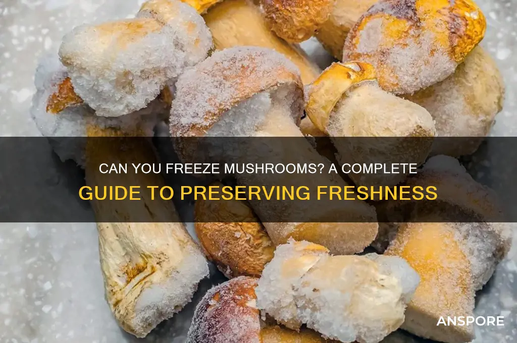 can you feeeze mushrooms